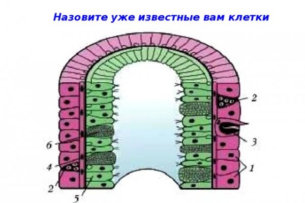 Как найти кракен в торе