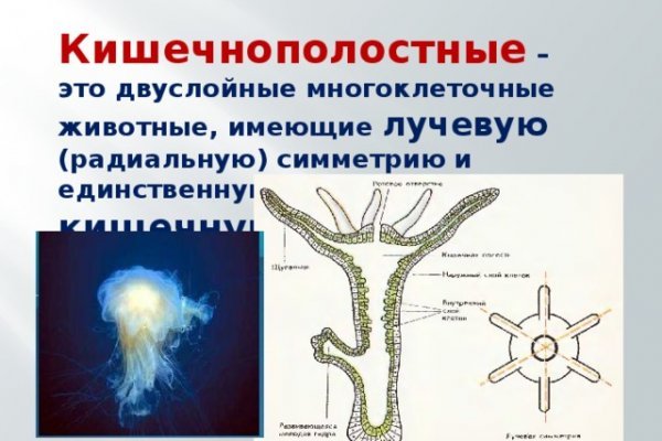 Darknet ссылки