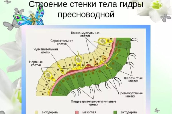 Kraken 13 at сайт