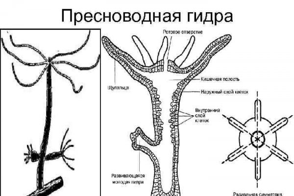 Что такое кракен наркотик